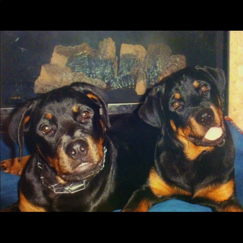 Meet your Posher, Christine